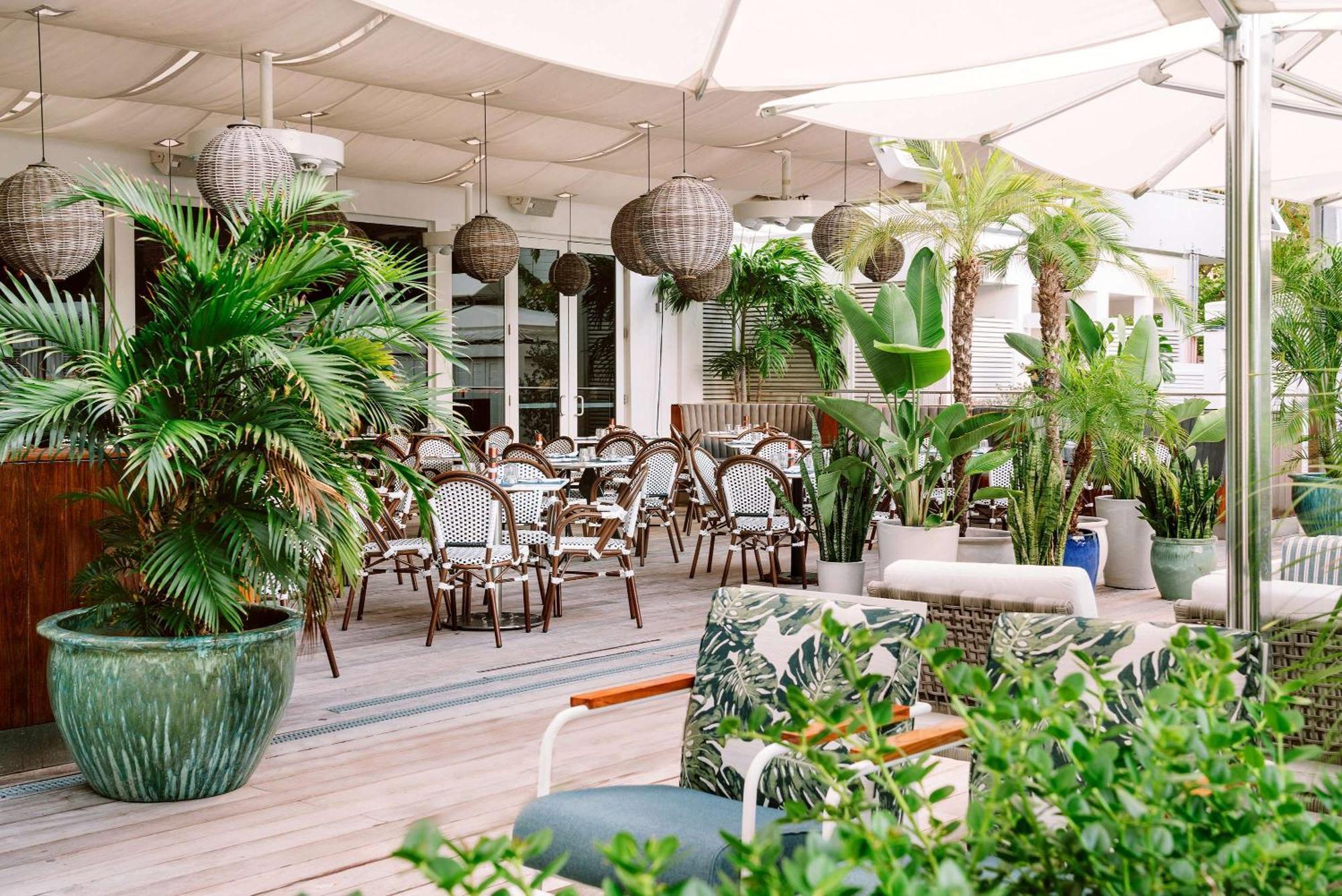 Nautilus Sonesta Miami Beach Ngoại thất bức ảnh The Terrace at The Ivy